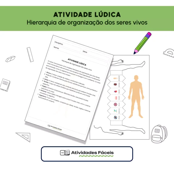 [BIO] Atividade Lúdica - Hierarquia de organização dos Seres Vivos