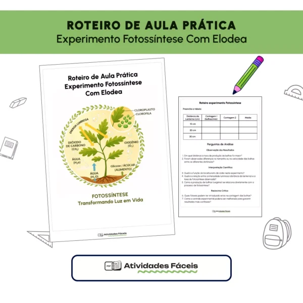 [BIO] - Roteiro de Aula Prática -  Experimento Fotossíntese Com Elodea