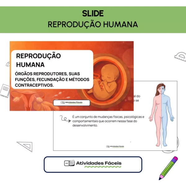 [BIO] - Slide - Reprodução Humana
